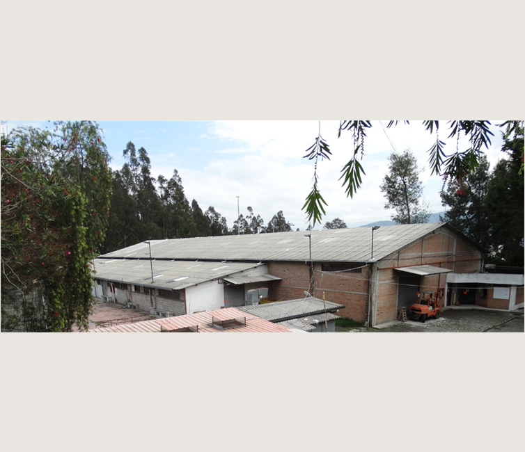 GALPÓN PRINCIPAL
